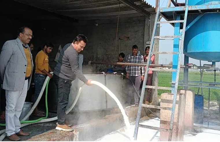 मिलावटी पनीर के काले कारोबार का खुलासा, 6500 किलो माल पकड़ा, दो डेयरियों के लाइसेंस रद्द