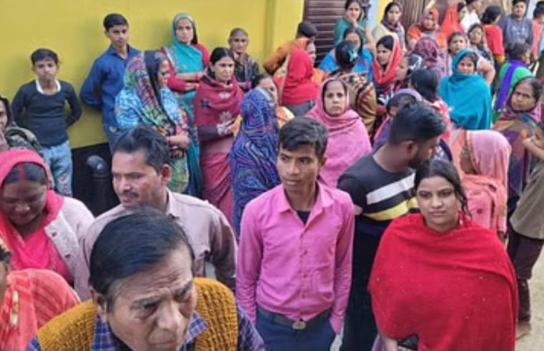 फावड़े से हमलाकर मां को मार डाला
