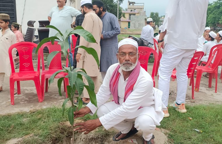 अखिलेश यादव के जन्मदिन के मौके पर 52 पेड़ लगाकर पर्यावरण जन्मदिवस के रूप में जन्मदिन मनाया गया। ‌